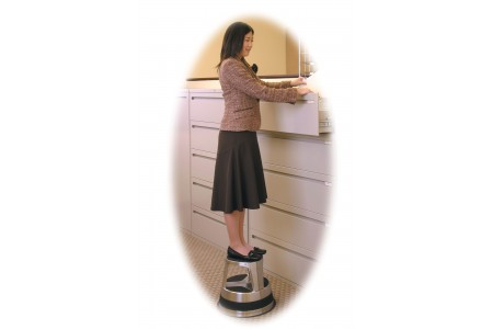 Stainless Steel Rolling Step Stool-17025J